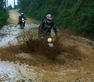 Jungle Rider Adventure Loop